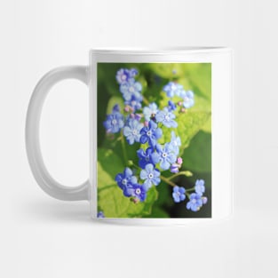 Forget-me-not flower Mug